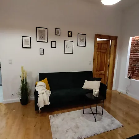 Mieszkanie W Centrum Lodzi Ul Wolczanska *