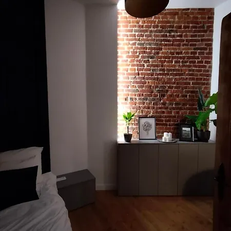 Apartmán Mieszkanie W Centrum Lodzi Ul Wolczanska