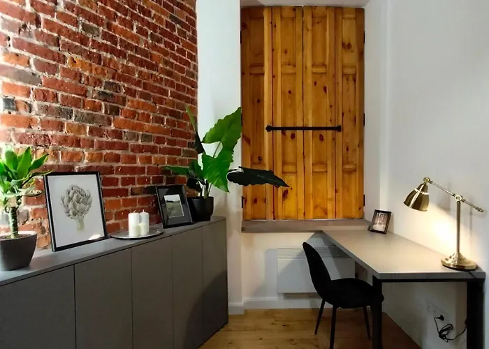 Mieszkanie W Centrum Lodzi Ul Wolczanska *