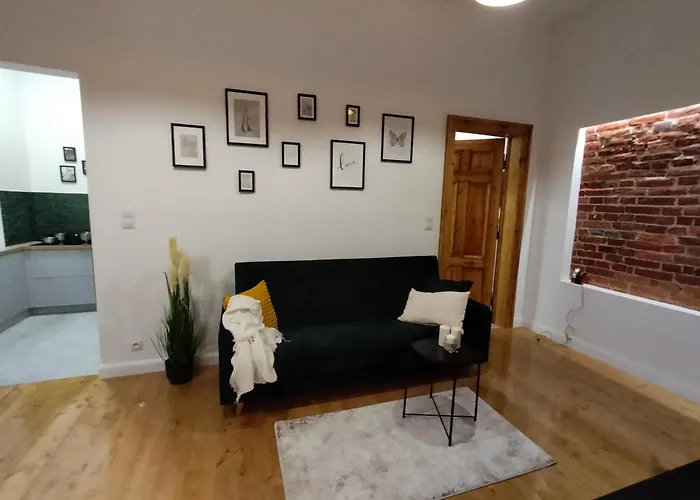 Mieszkanie W Centrum Lodzi Ul Wolczanska *