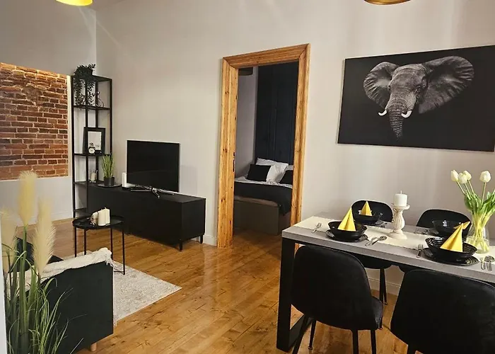 Mieszkanie W Centrum Lodzi Ul Wolczanska Lejlighed